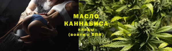 метадон Богданович