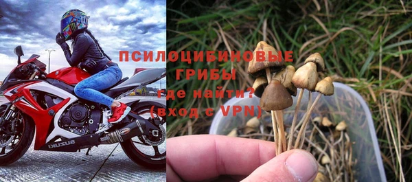 прущие крисы Богородицк