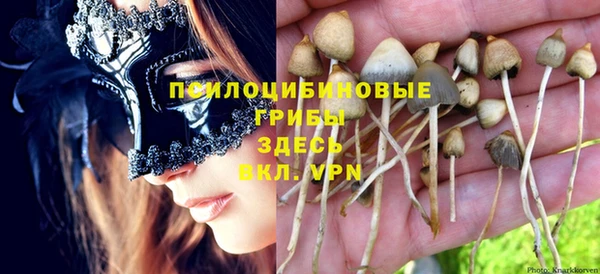 метадон Богданович