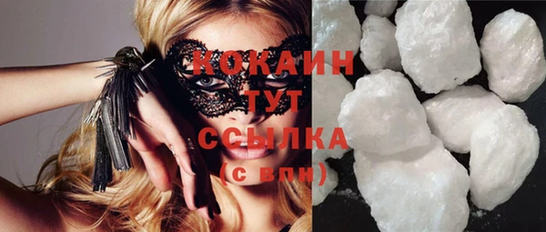 метадон Богданович