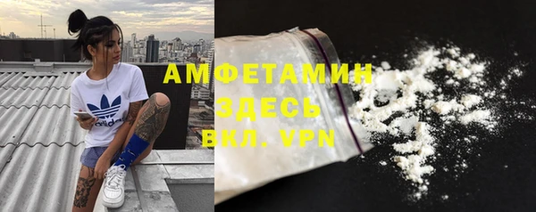 метадон Богданович