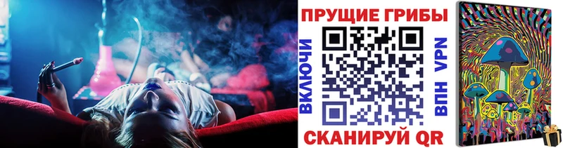 Псилоцибиновые грибы Cubensis  как найти закладки  Астрахань 